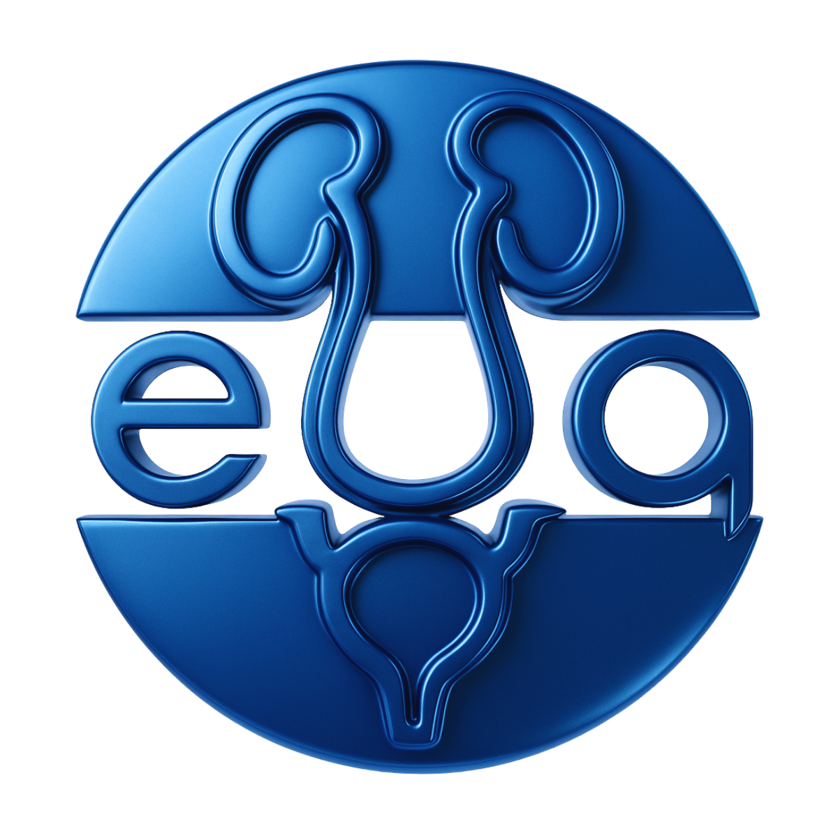 Welcome to the Egyptian Urological Association (EUA)